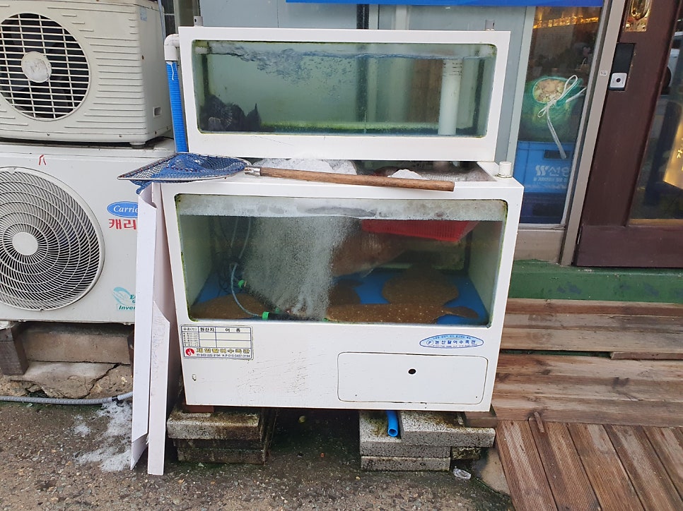 역전막회포차 사진 3