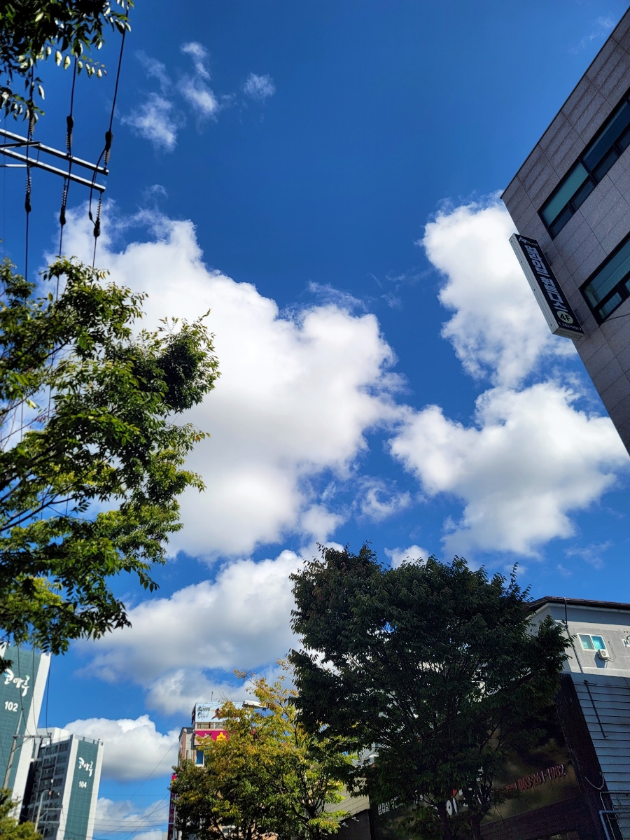 황궁반점 사진 1