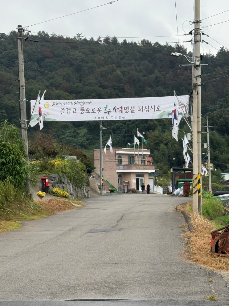  길었던 추석 연휴, 순식간에 스쳐간 이틀.