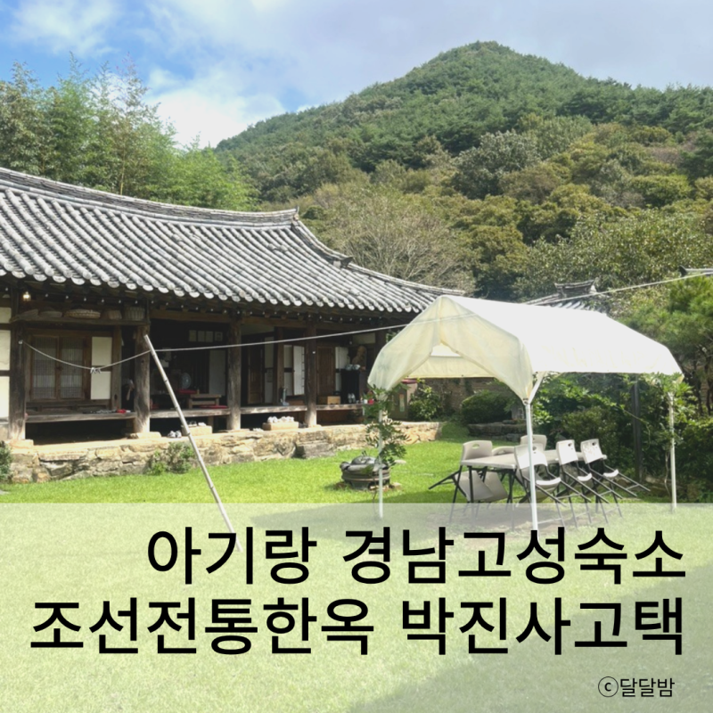 사진 7