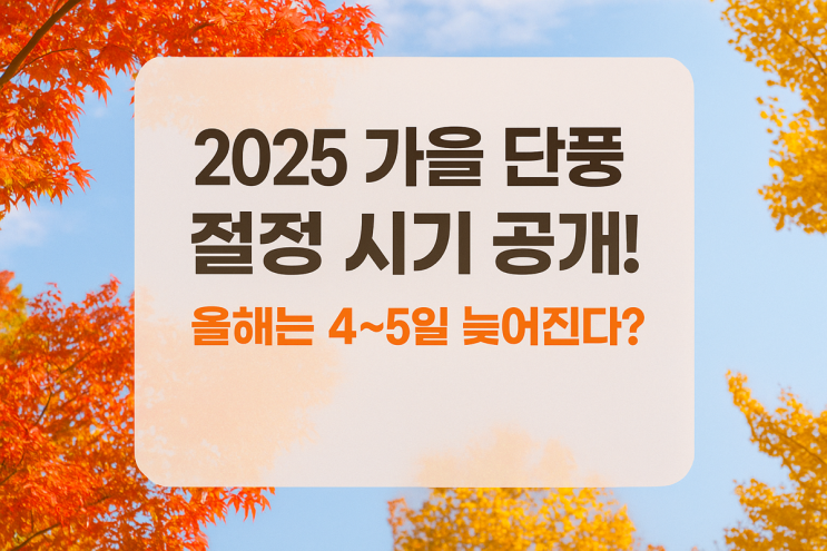  2025 가을 단풍 절정 시기 공개! 올해는 4~5일 늦어진다? (전국 단풍 정리)
