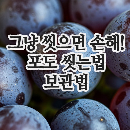  포도 세척법, 그냥 씻으면 손해! 전문가가 알려주는 포도씻는방법 & 보관법