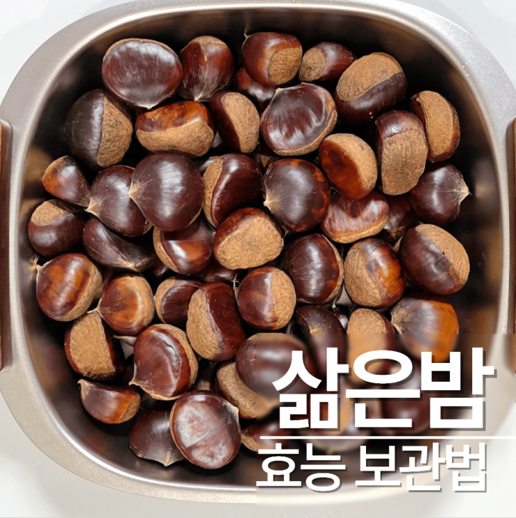  삶은밤효능 보관법 맛있게 삶는 방법
