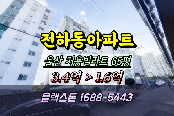  울산동구 2회유찰아파트 경매 처용빌라트 65평