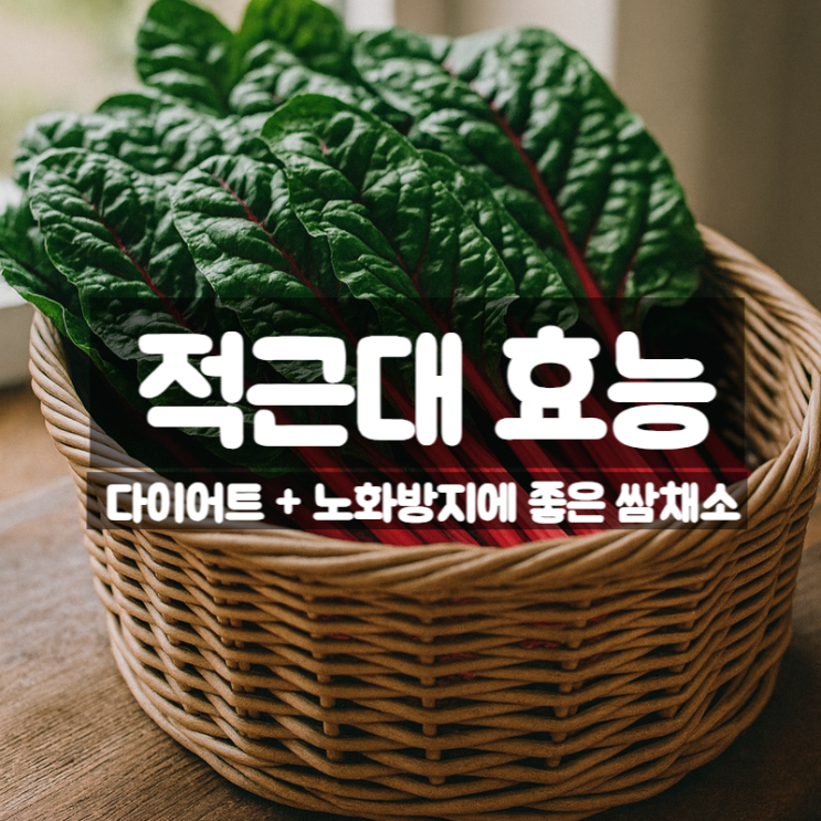  적근대 효능 부작용 먹는법 – 다이어트 노화방지에 도움주는 슈퍼푸드