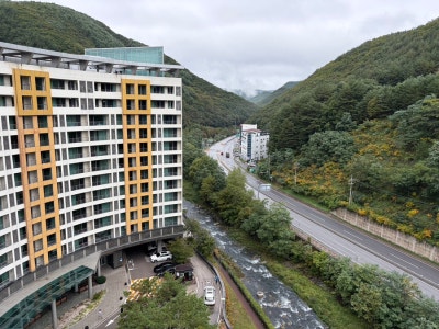사진 6