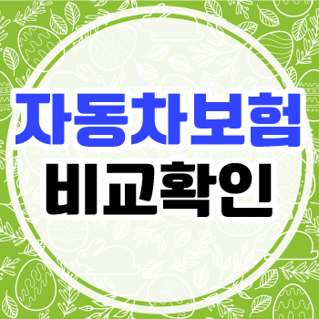 삼성 현대 DB KB 메리츠 한화 흥국 롯데 AXA 캐롯 NH 하나 MG 더케이 자동차보험 고객센터 보장 ....