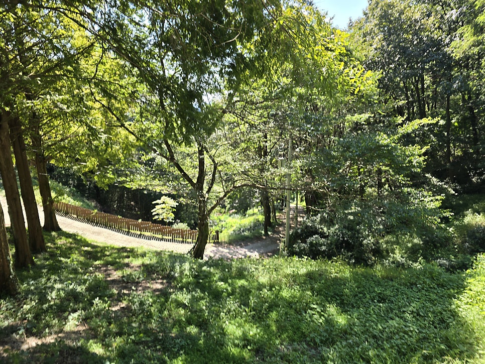 신걸산 사진 3