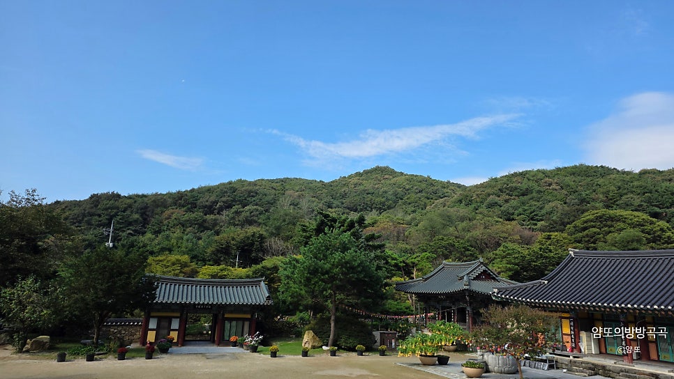 청룡사 드라이브코스 사진 3
