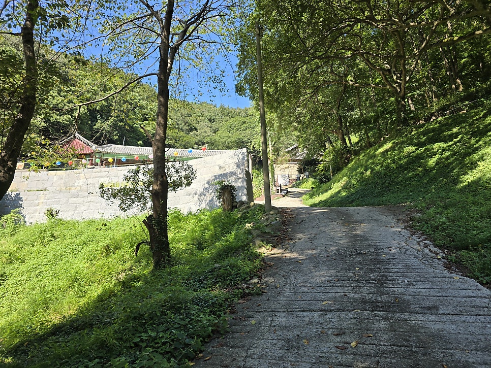 신걸산 사진 4