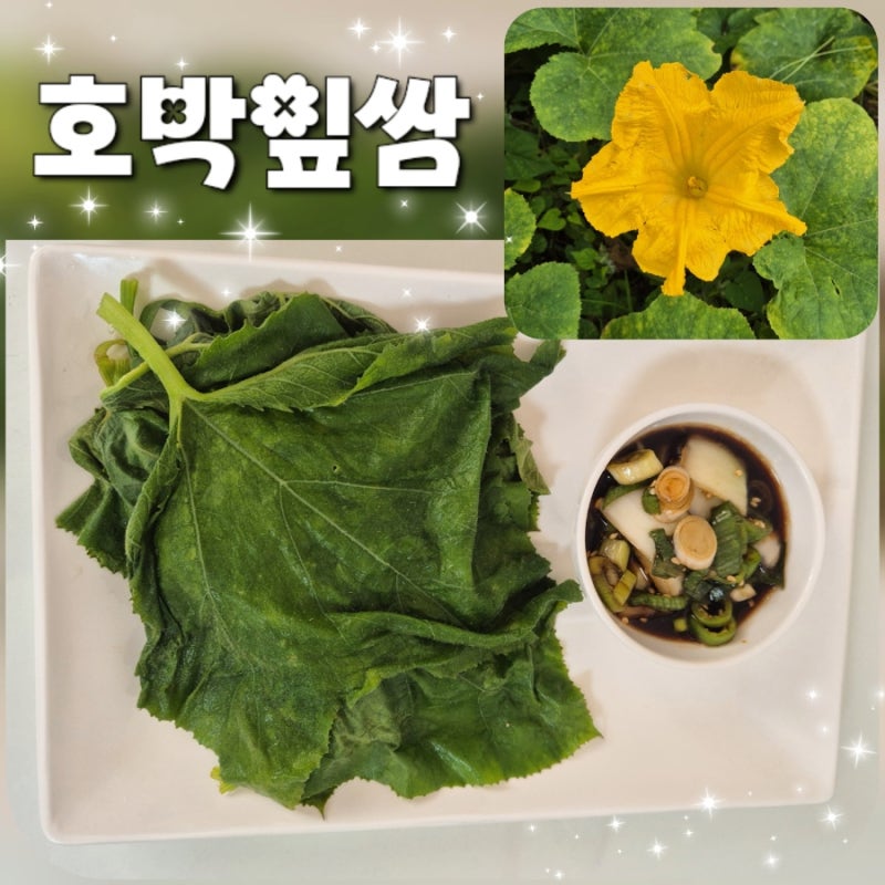 전자레인지로 간단하게! 호박잎 찌는법과 맛있는 호박잎쌈