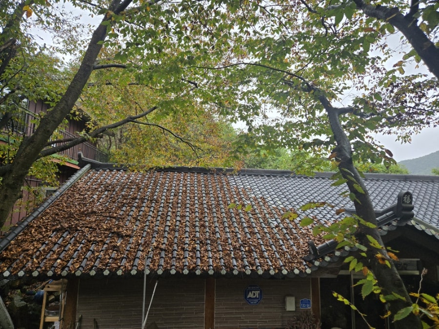 농가맛집 산속의친구 사진 4