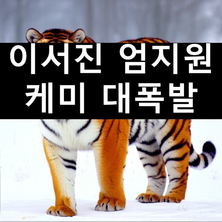 <b>이서진</b> <b>엄지원</b> 드레스 앞에서의 솔직 칭찬 <b>케미</b> 대폭발