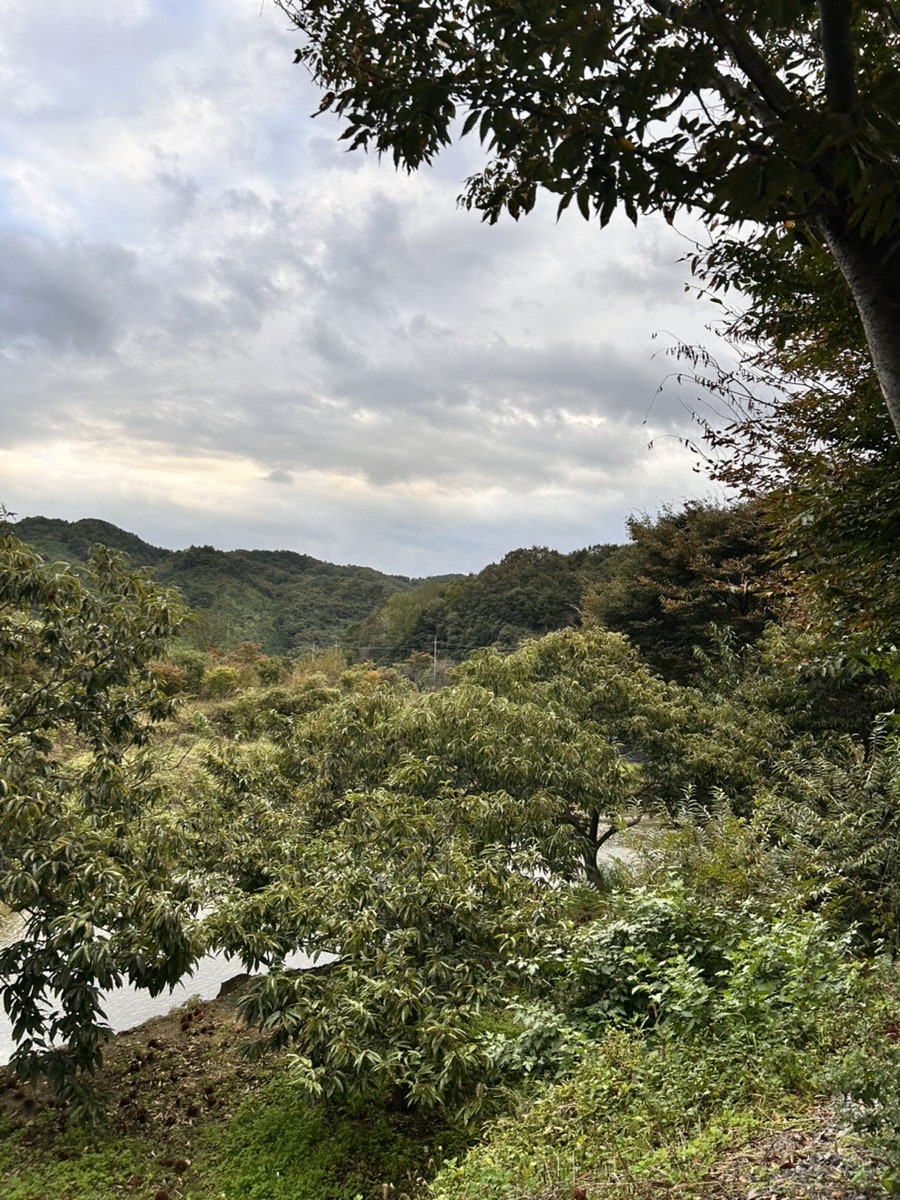 하얀펜션 사진 4