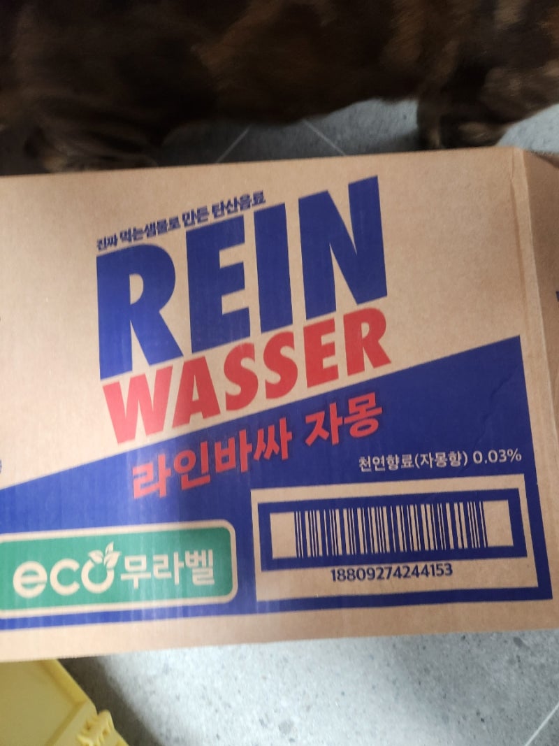 탄산수 부자가 라인바싸 먹어본 후기 (vs 빅토리아), 그리고 무라벨이 주는 해방감