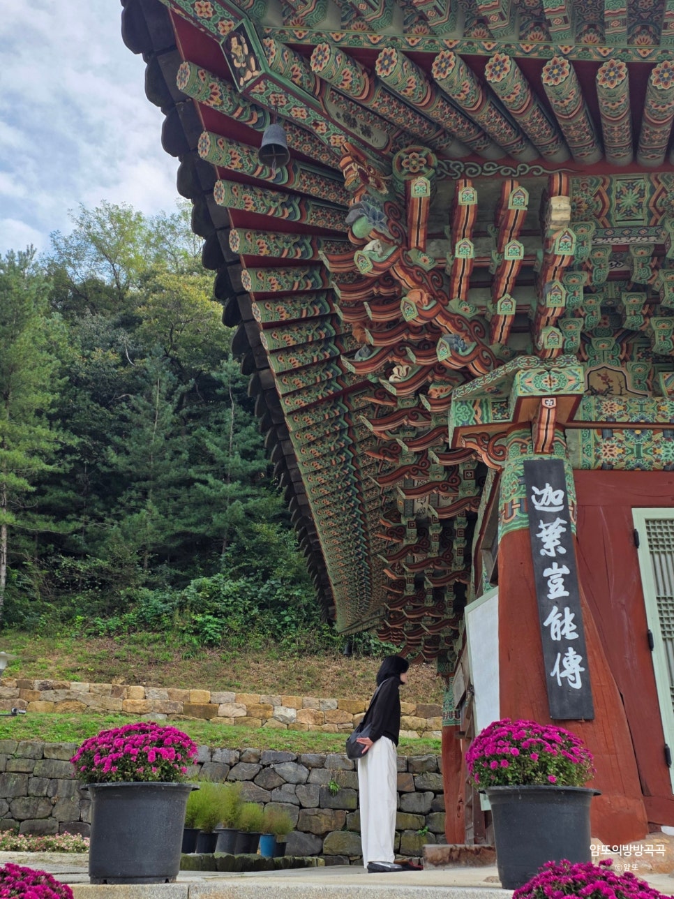 청룡사 드라이브코스 사진 6