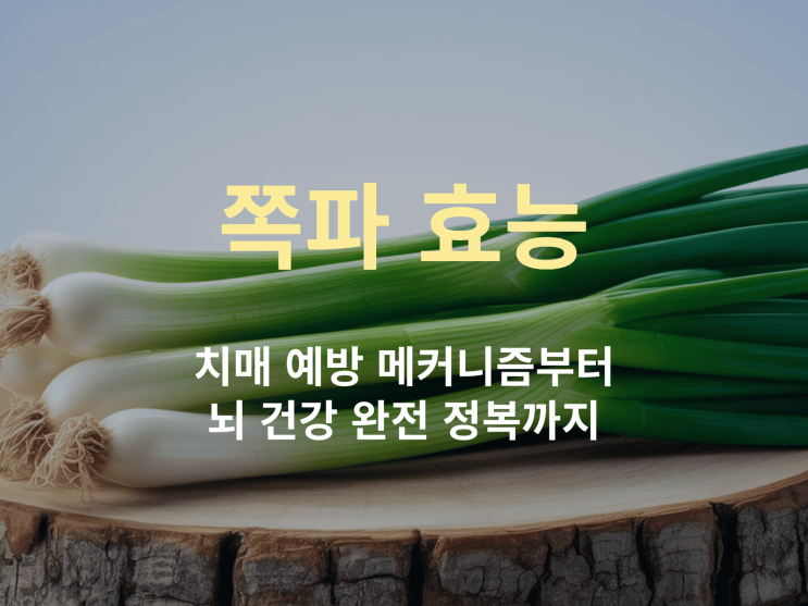  쪽파 효능이 치매를 막는다고? 기억력까지 잡는 뇌 건강 완전 정복