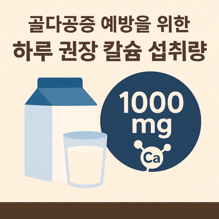  골다공증 예방을 위한 하루 권장 칼슘 섭취량  나이별·연령별 뼈 건강 완벽 가이드!
