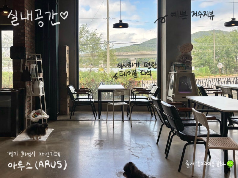 사진 2