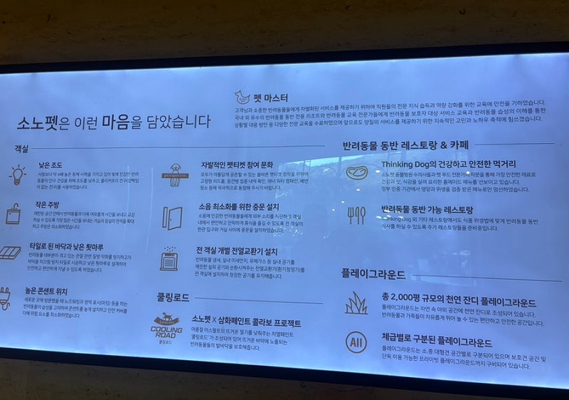 사진 2