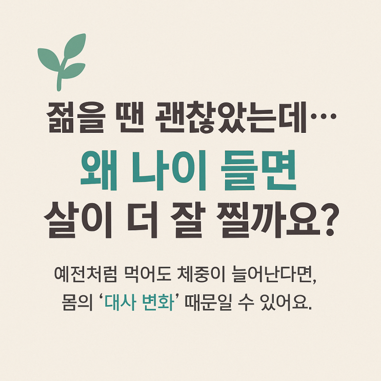  젊을 땐 괜찮았는데… 왜 나이 들면 살이 더 잘 찔까요?