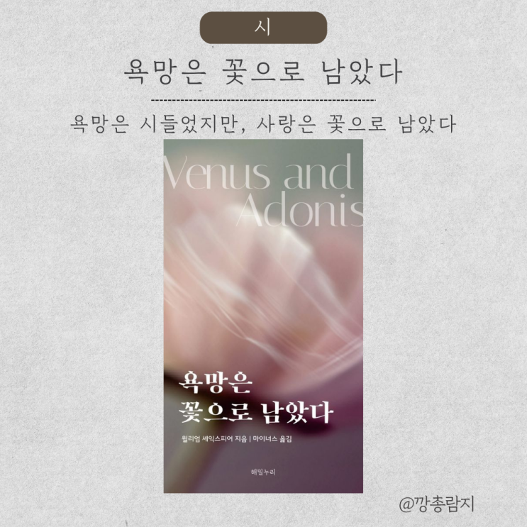  셰익스피어의 욕망은 꽃으로 남았다 — 『Venus and Adonis』 속 비너스의 사랑과 집착