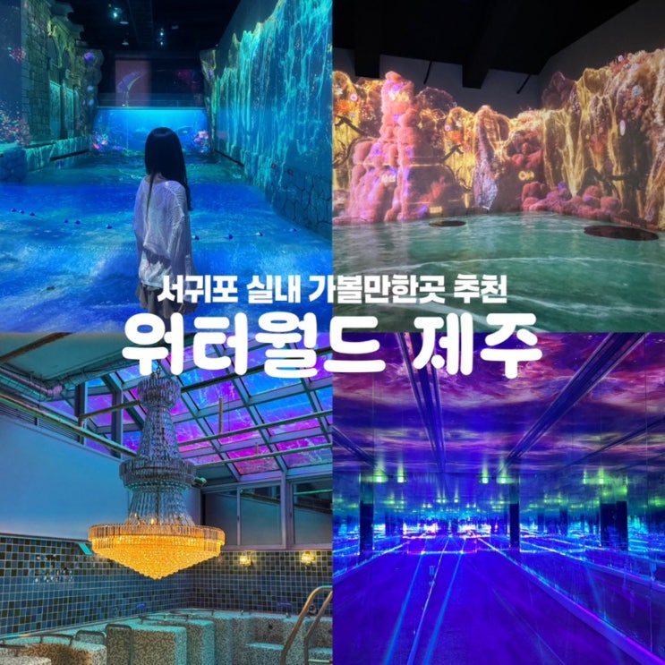  제주도 여행 서귀포 가볼만한곳 워터월드 실내 놀거리