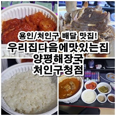 용인 처인구 뼈해장국 맛집 우리집다음에맛있는집 양평해장국 처인구청점 배달 리뷰