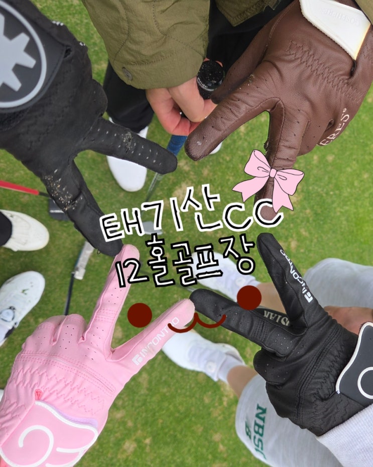  노캐디 12홀 골프장 태기산CC 바뀐 부분