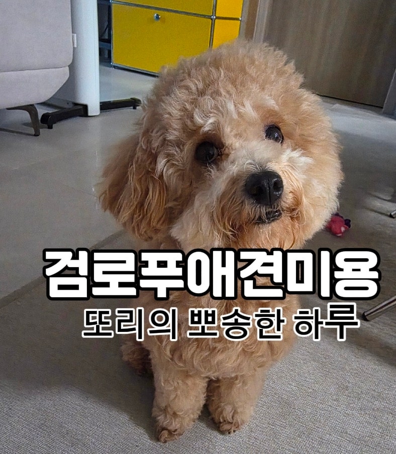 사진 3
