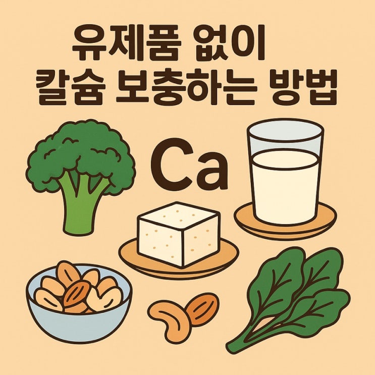  유제품 없이 칼슘 보충하는 방법  뼈를 튼튼하게 만드는 비건 식단 완벽 가이드