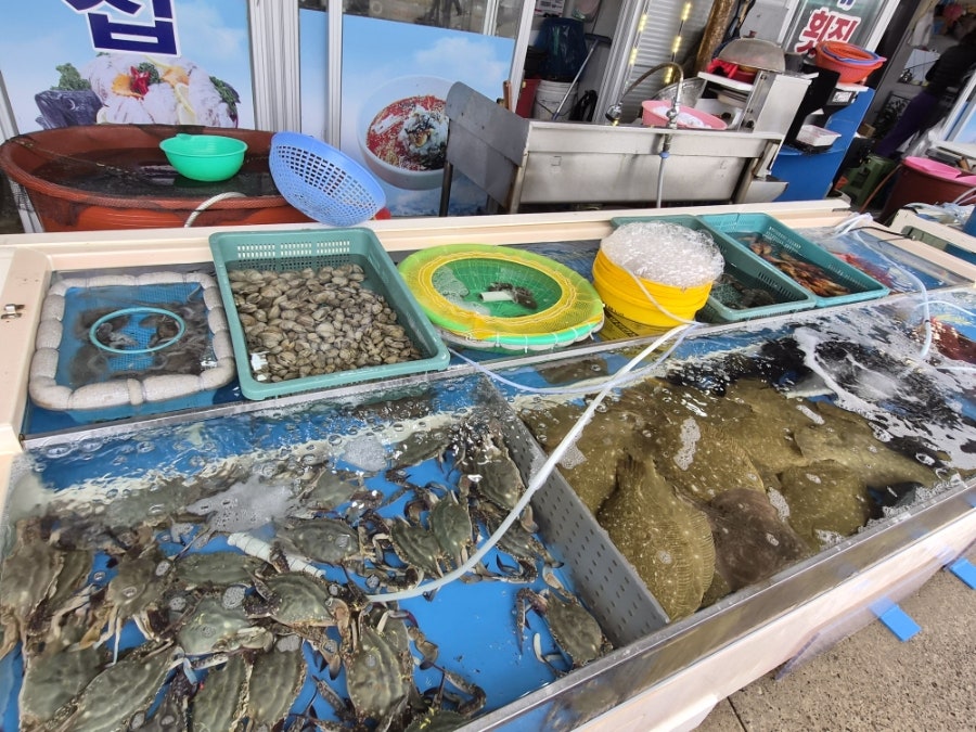 은실네 사진 2