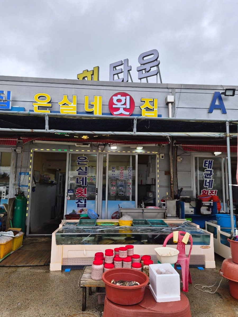 은실네 사진 1