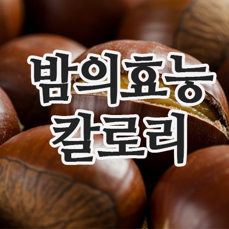  생밤효능부터 삶은밤효능까지, 중년 건강을 지키는 가을 보약