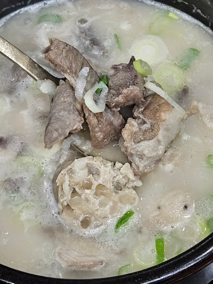  상록수역 순대국 맛집 인삼향 깔끔한 맛 유일순대 상록수점