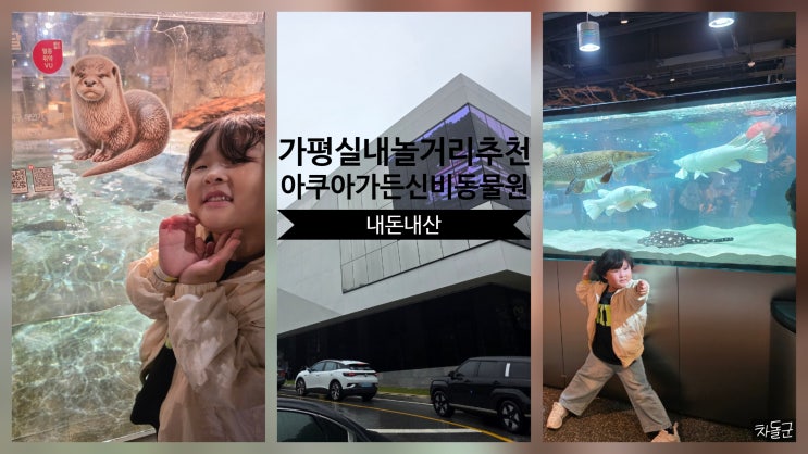  가평 아쿠아가든카페/신비동물원 아이와 실내 갈만한곳