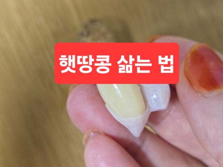  햇땅콩 삶는 법/햇 땅콩 맛있게 삶아 먹는 법