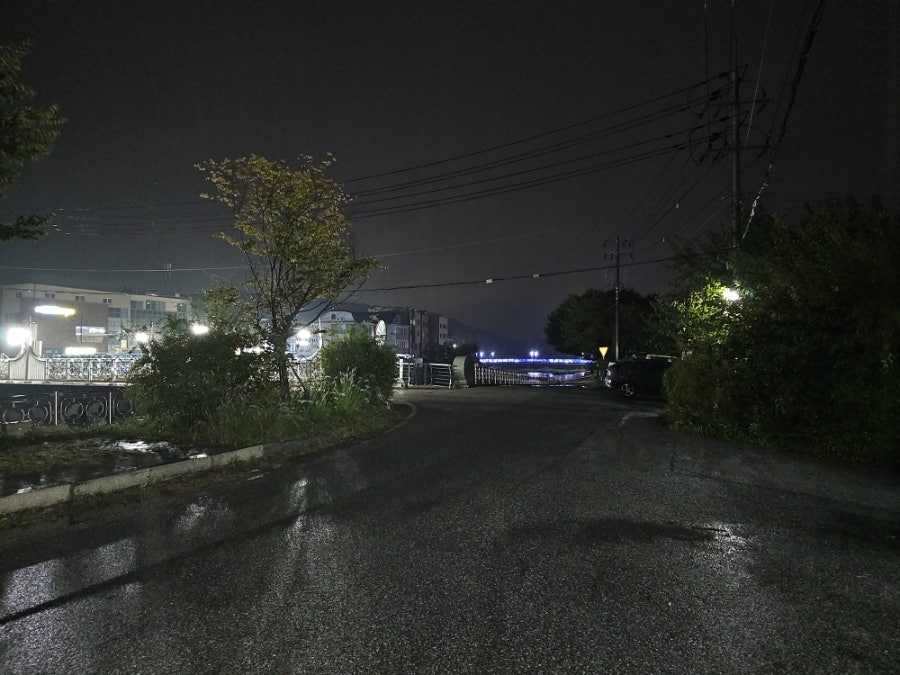 마니커치킨 사진 4