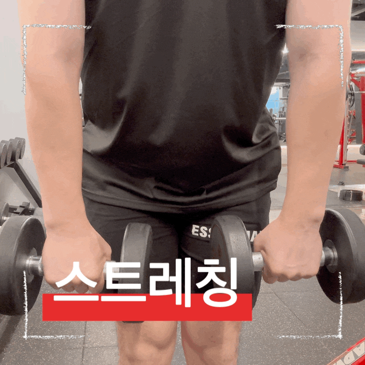  상체 운동 전 어깨 풀기 좋은 덤벨 스트레칭 및 활성화 방법