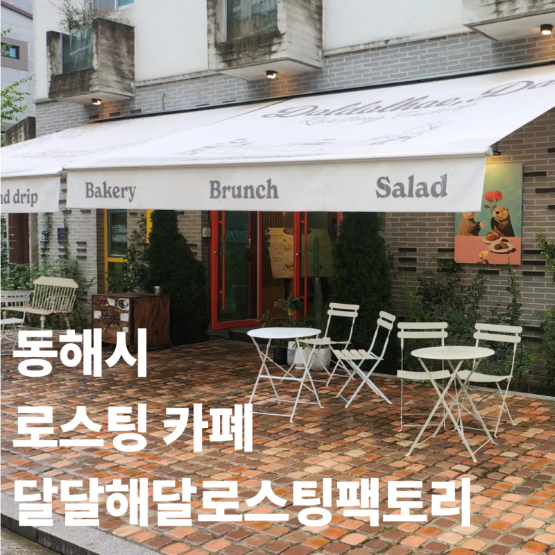 사진 2