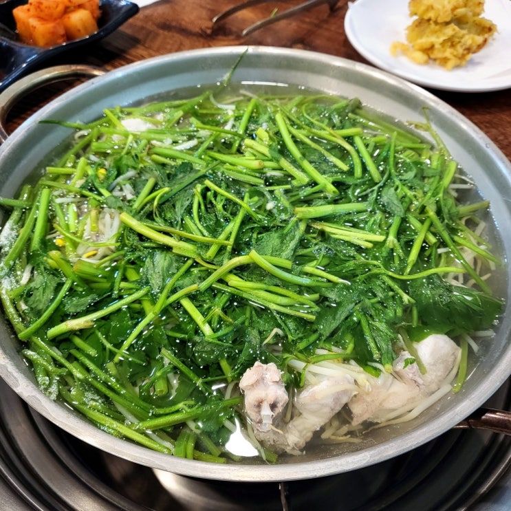  문정역 점심 맛집 복어 한식 전문 꿀복집