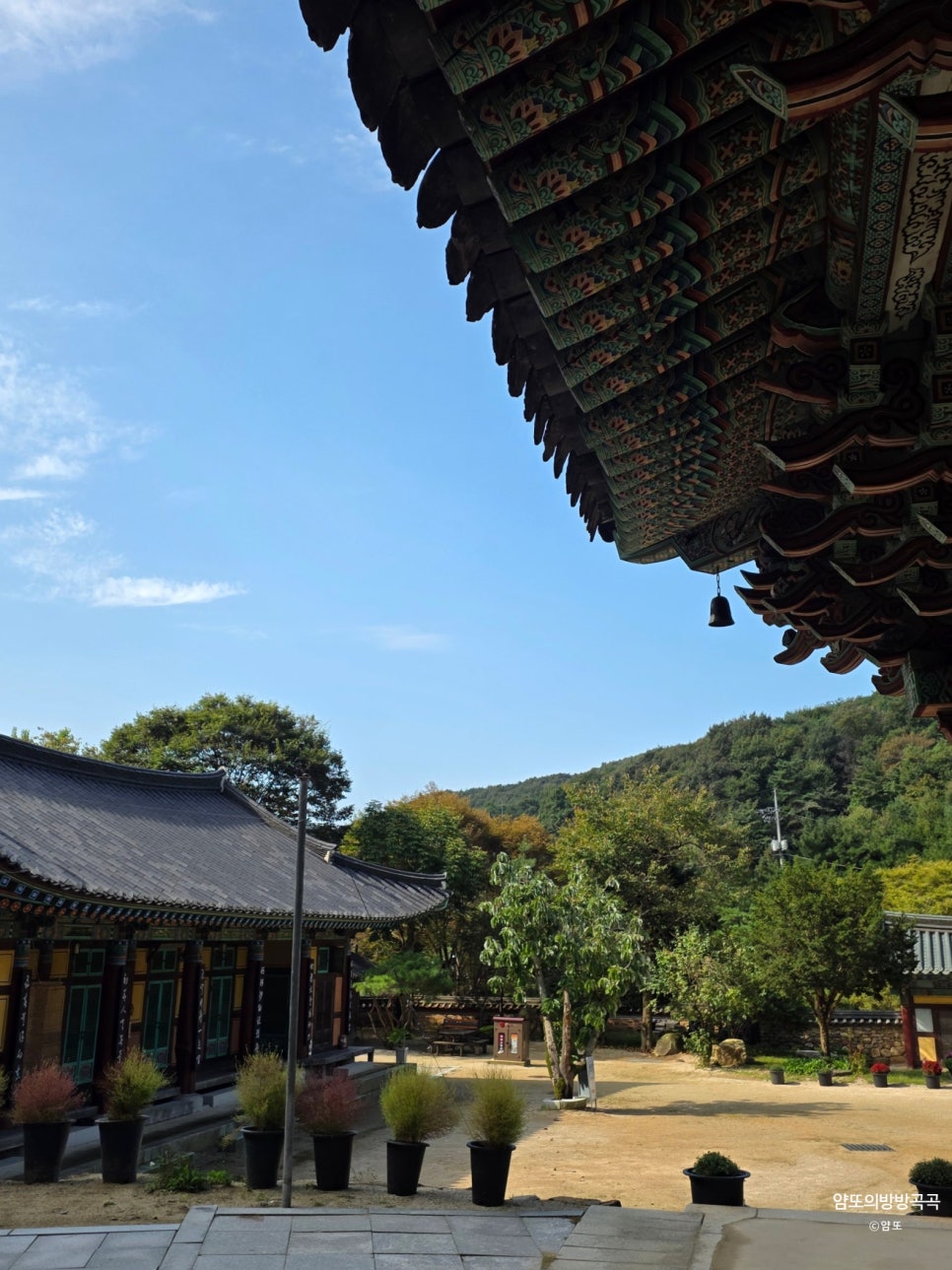 청룡사 드라이브코스 사진 2