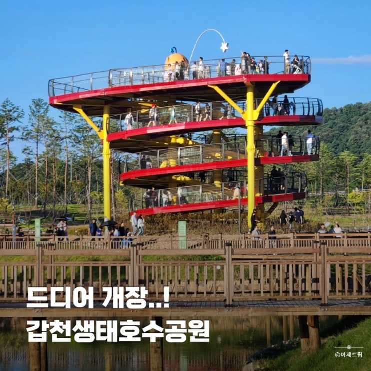  대전 가을 나들이 가볼만한곳 갑천생태호수공원 주말 주차
