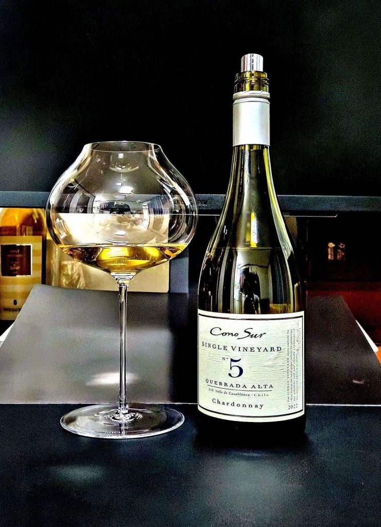  [화이트] 코노 수르 싱글 빈야드 샤르도네 2022 Cono Sur Single Vineyard Chardonnay 2022 칠레 샤르도네 화이트 와인 리뷰