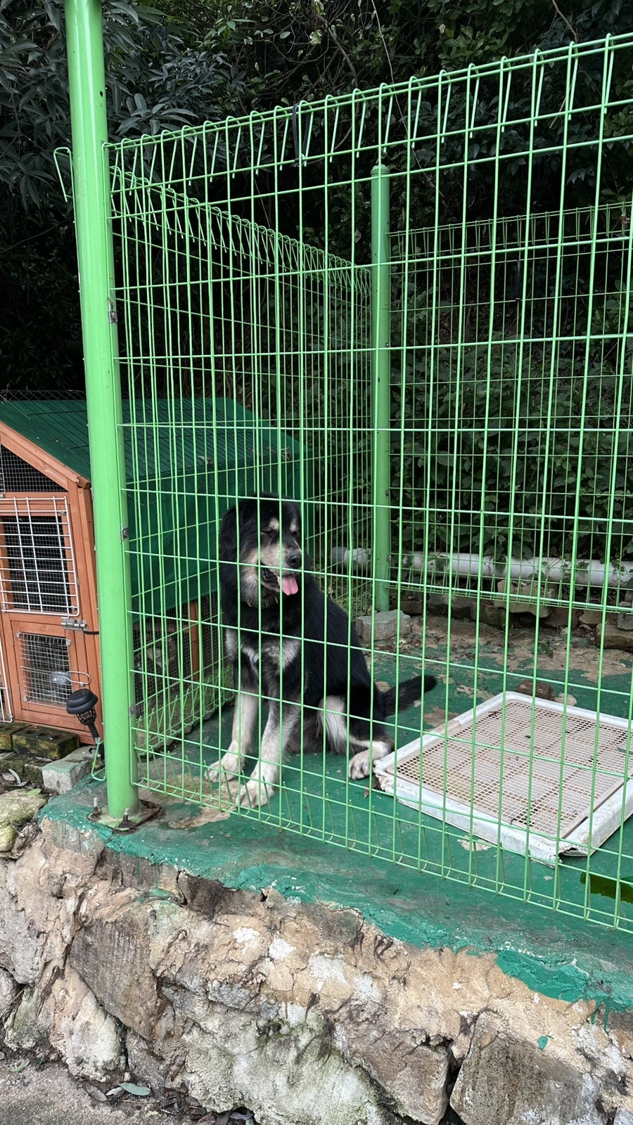 와쎄 본점 사진 3