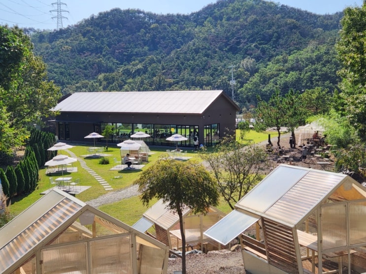  경북 성주 대구 근교 아기랑 함께하기 좋은 브런치&베이커리 카페 하우스소서(Haus So Seo)