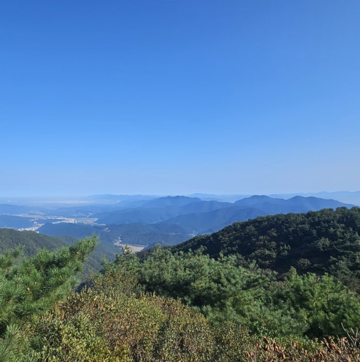  아들과 함께 무학산 정상에 도전하기!!
