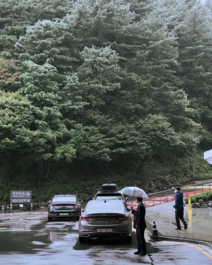  일상 기록 10. 비 오는 날 워커힐에 가면 부자가 된다, 전어회와 전어구이의 제철, 머더 미스터리, 팩트풀니스, Mirror 백예린, Locus of control