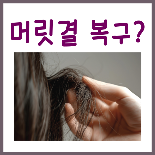  머릿결 복구? 집에서 따라하는 방법