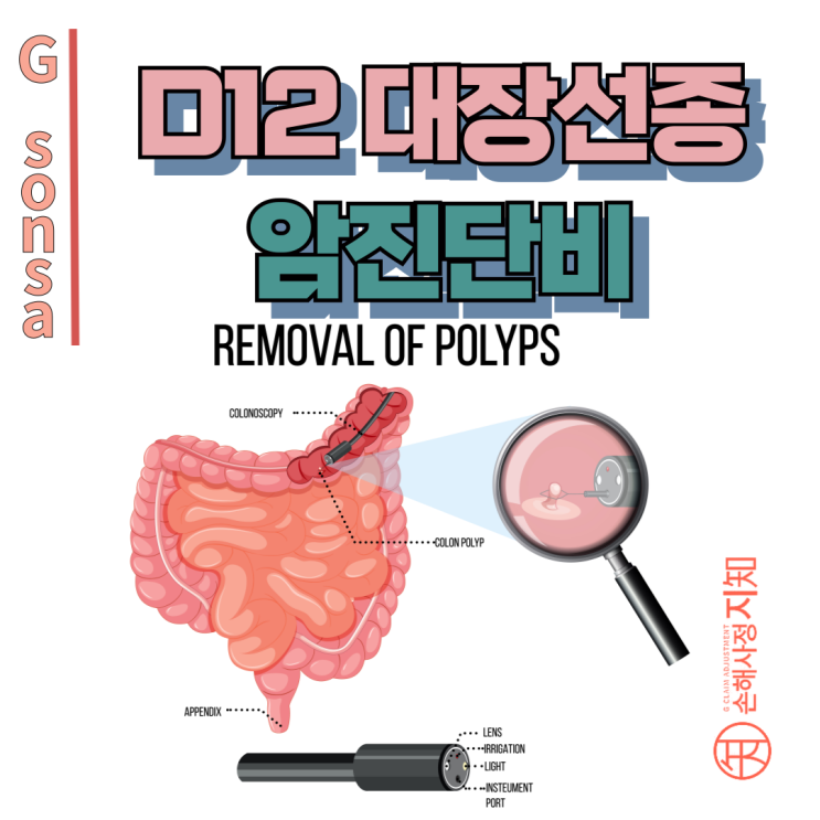  D12 대장 선종, 암진단비 청구 포기하면 후회해요! - [보험금, BA+DA]